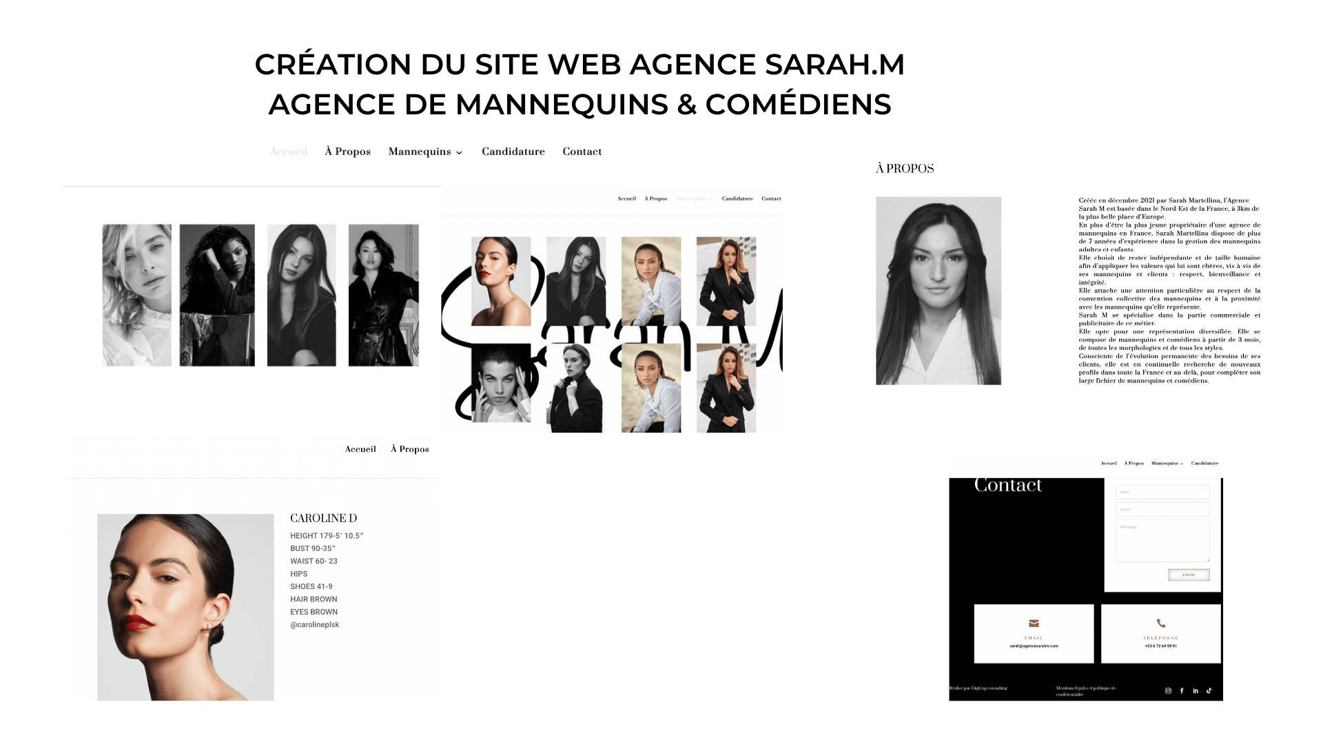 création site web nancy<br />
digit up consulting