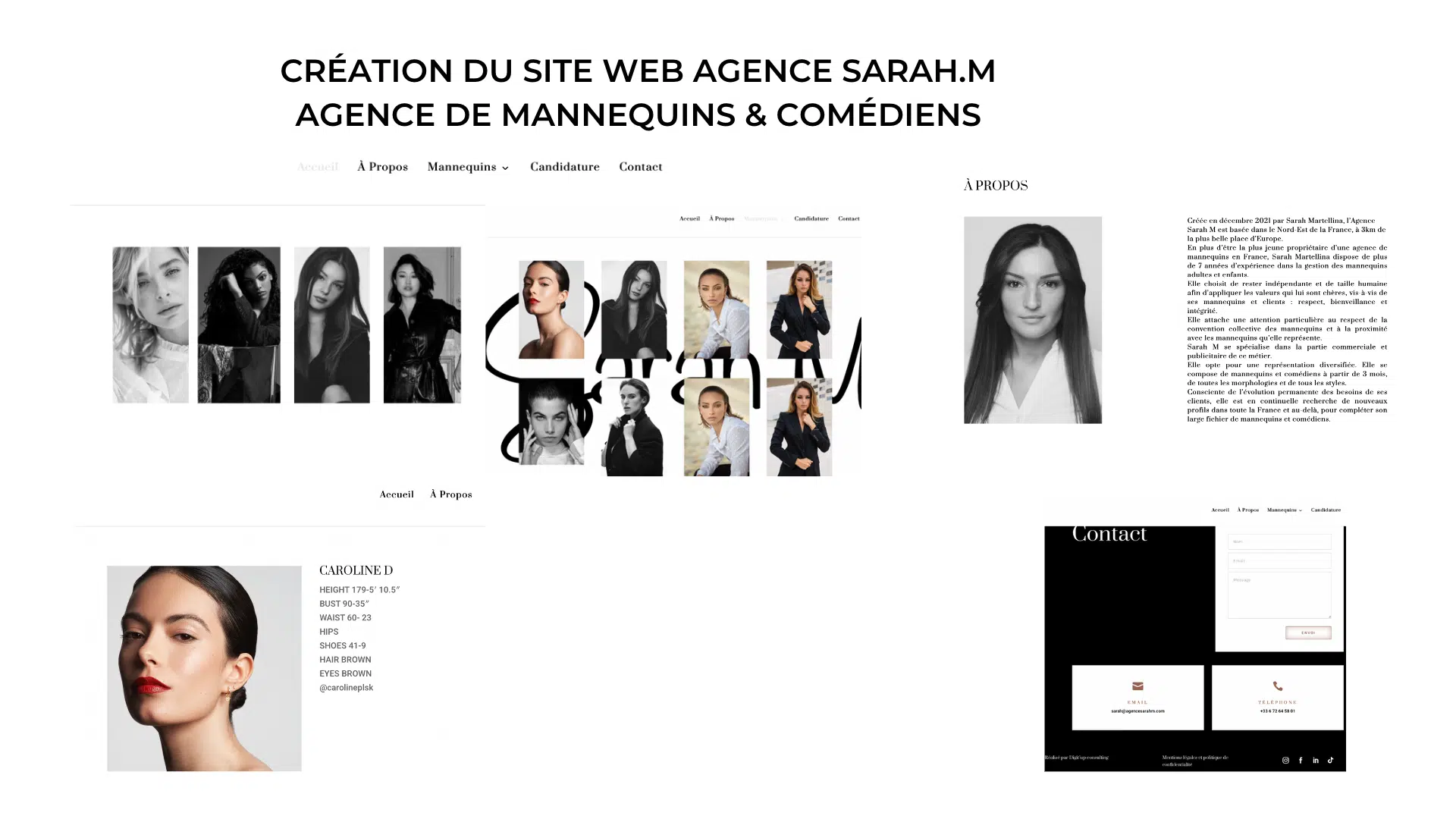 PORTFOLIO SARAH création site web nancy<br />
digit up consulting